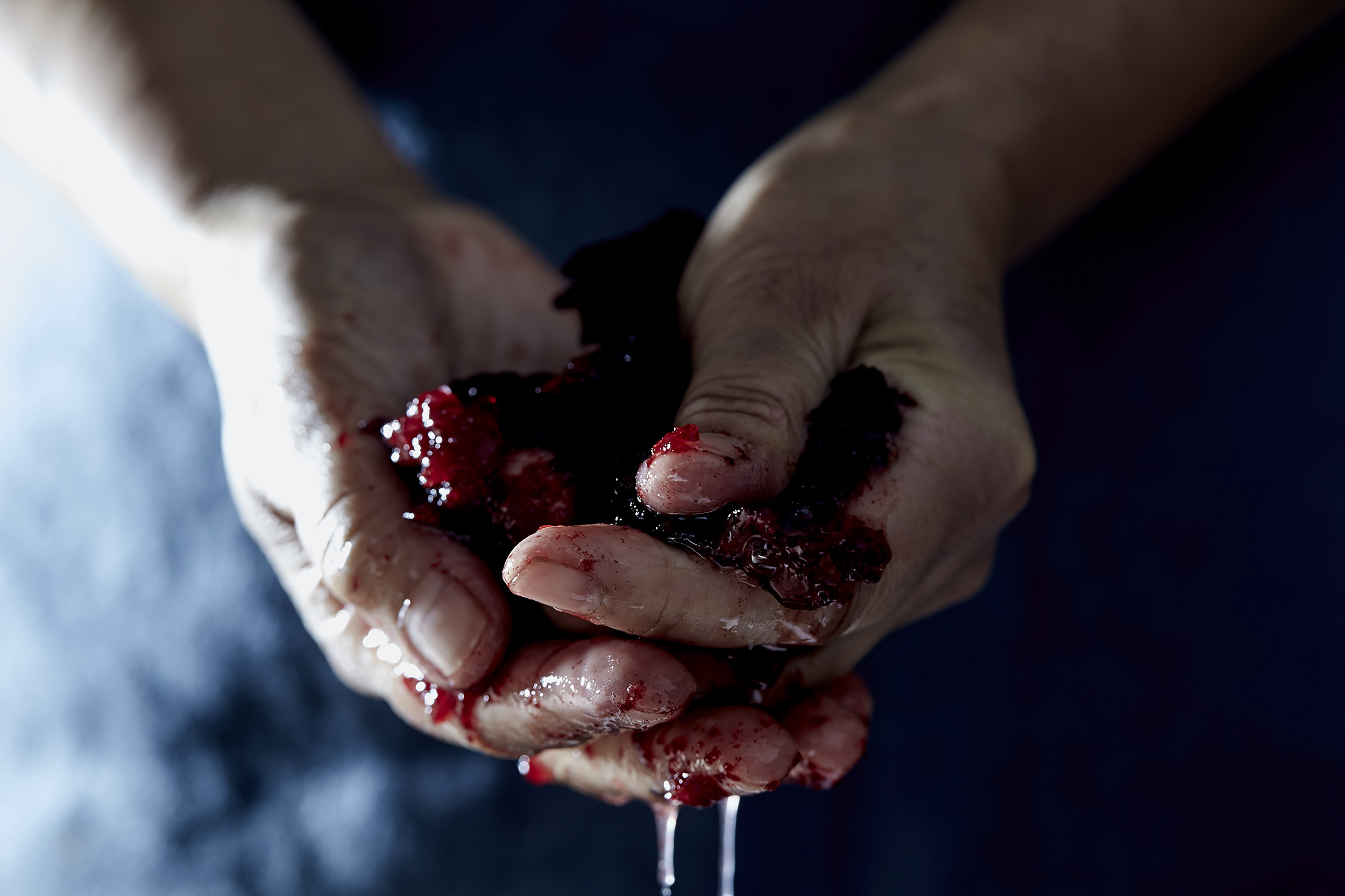 Close-up of a pair of hands holding crushed berries, juice dripping. The skin tone is fair, with a dark background.