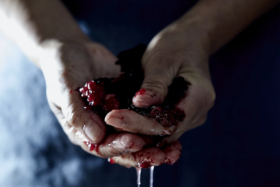 Close-up of a pair of hands holding crushed berries, juice dripping. The skin tone is fair, with a dark background.