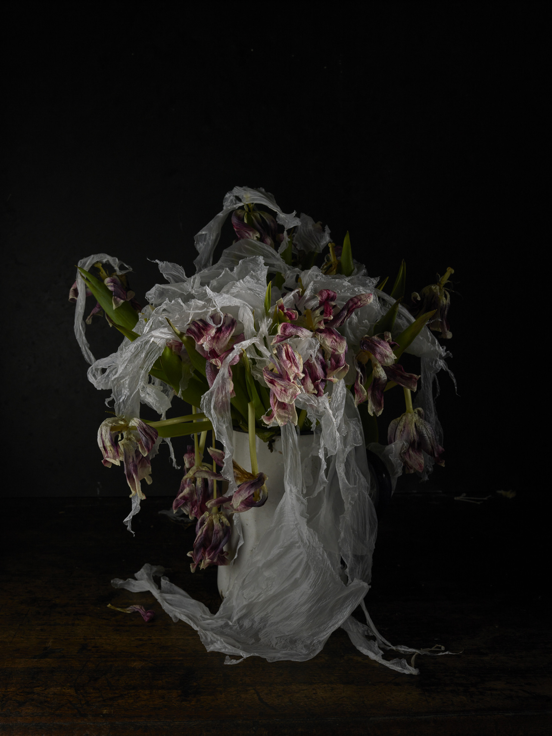 Still life photograph of a wilting tulip bouquet in a white vase, wrapped in sheer fabric, set against a dark background on a wooden table.