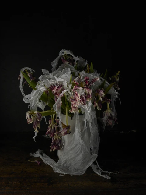 Still life photograph of a wilting tulip bouquet in a white vase, wrapped in sheer fabric, set against a dark background on a wooden table.