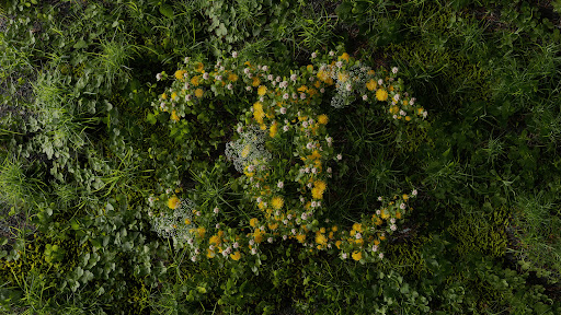 Overhead view of a grassy field with yellow and white flowers arranged in the shape of the Chanel logo, creating a natural, branded design.