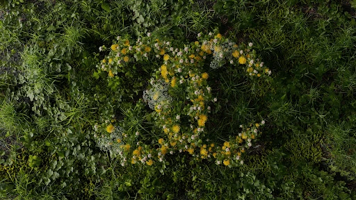 Overhead view of a grassy field with yellow and white flowers arranged in the shape of the Chanel logo, creating a natural, branded design.