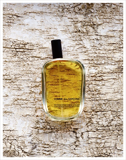 Glass bottle of Comme des Garçons fragrance set against a textured birch bark background, providing a natural and elegant aesthetic.