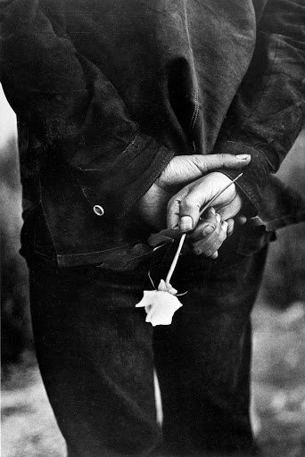 Close-up of a person holding a white flower behind their back, captured in high-contrast monochrome photography by Ralph Gibson.