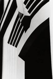 Monochrome architectural photograph featuring geometric concrete pillars and stark dark shadows by Ralph Gibson.