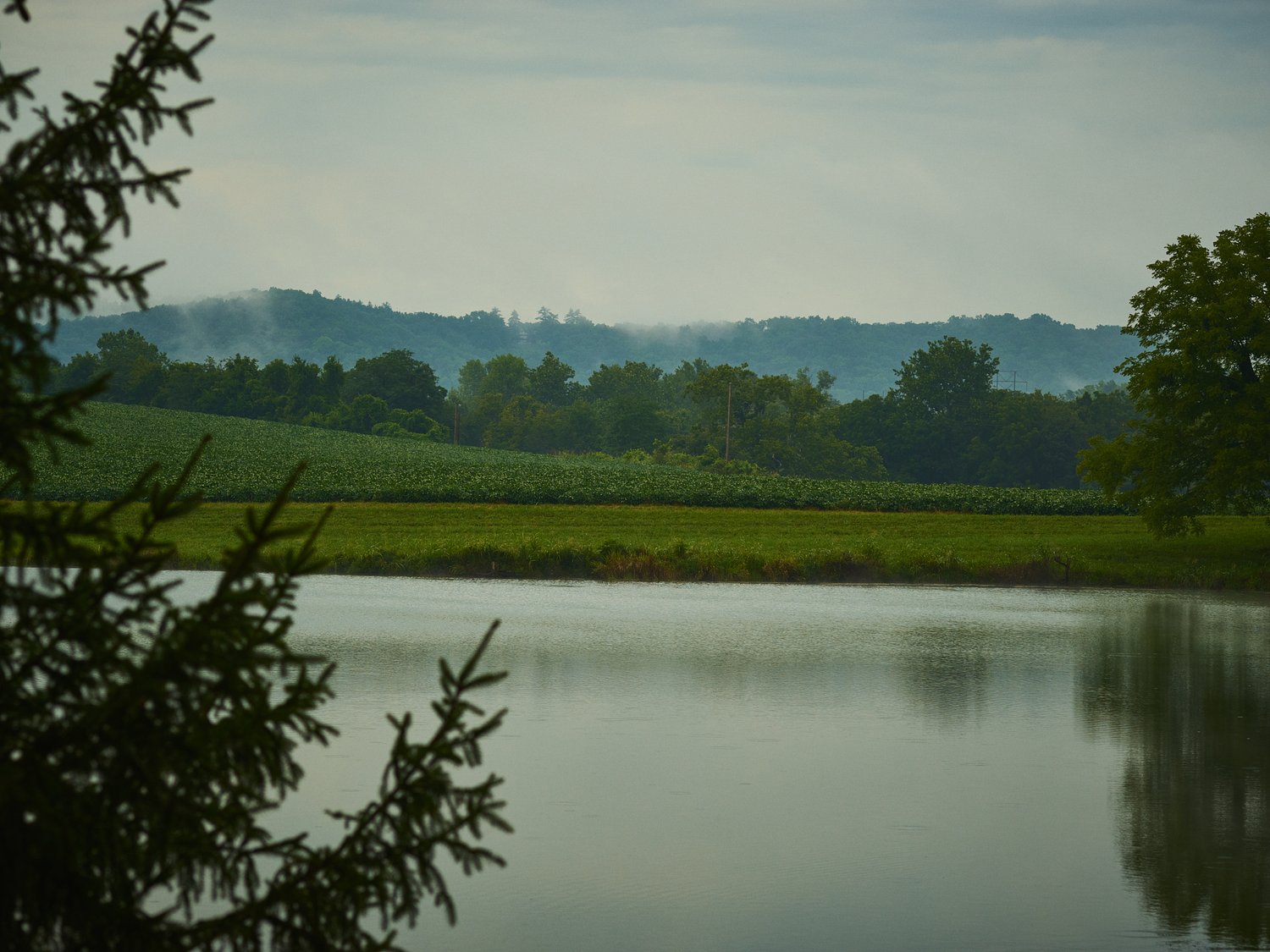 Scenic landscape of a tranquil lake with reflections, surrounded by lush greenery, trees, and distant misty hills under an overcast sky.