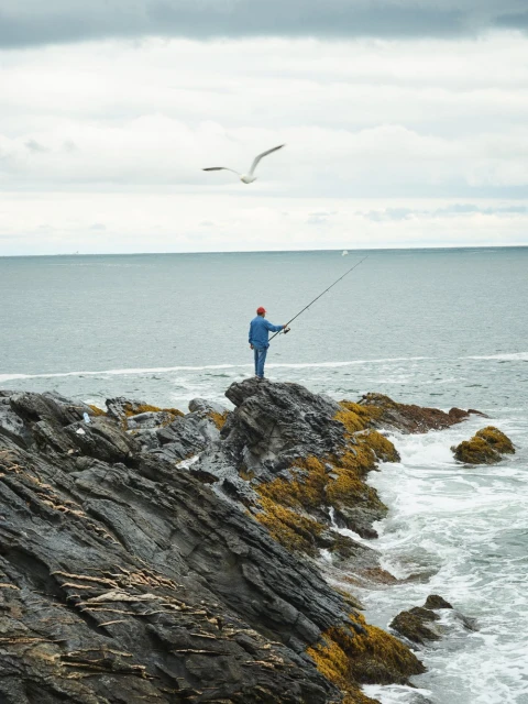 A lone fisherman casts his line from a rocky outcrop into the ocean, with a seagull soaring overhead against a cloudy sky.