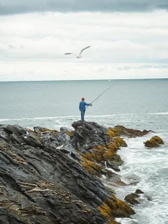 A lone fisherman casts his line from a rocky outcrop into the ocean, with a seagull soaring overhead against a cloudy sky.
