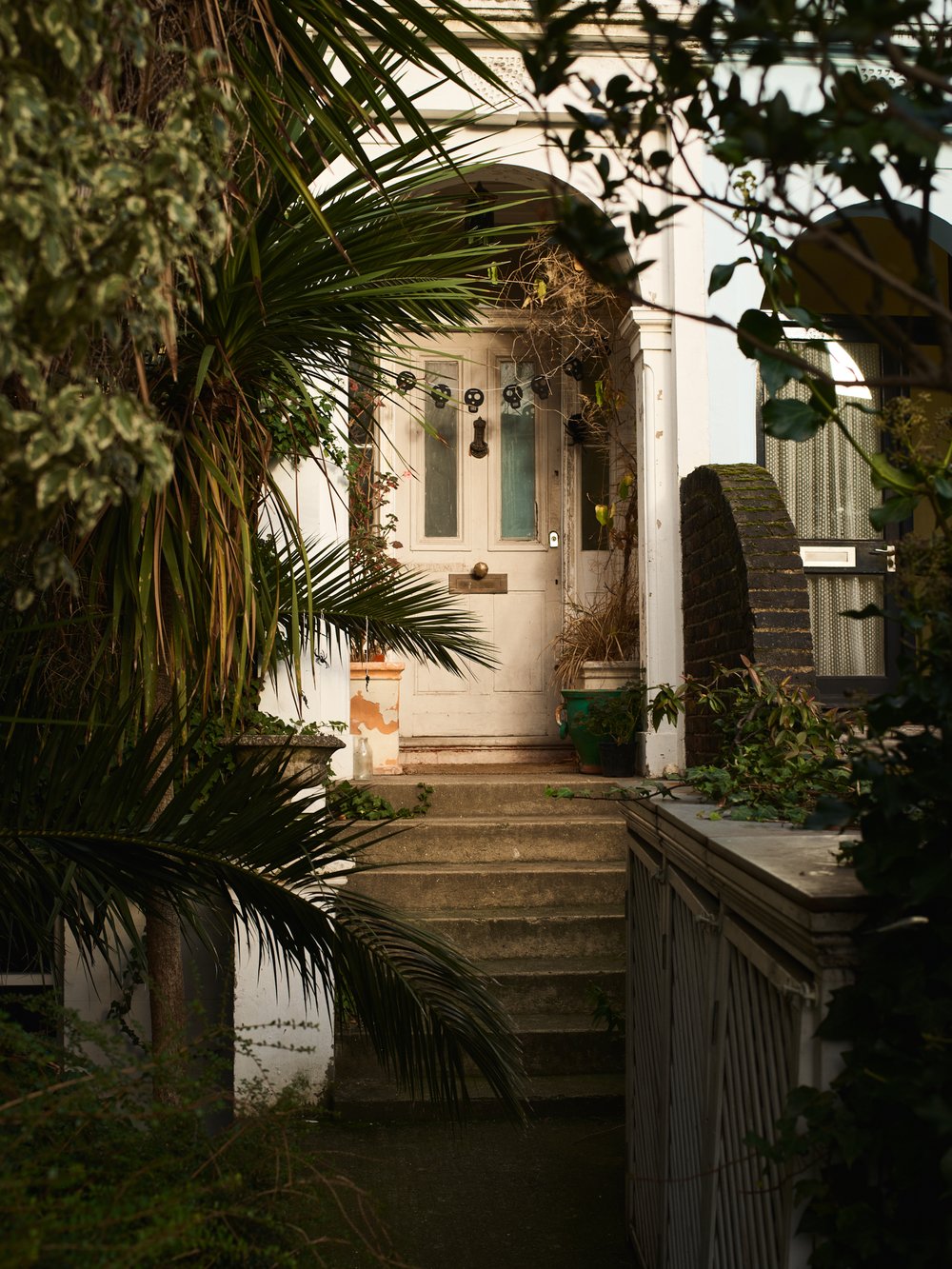 A white house entrance with an arched doorway, concrete steps, and tropical plants surrounding the scene in a residential area.