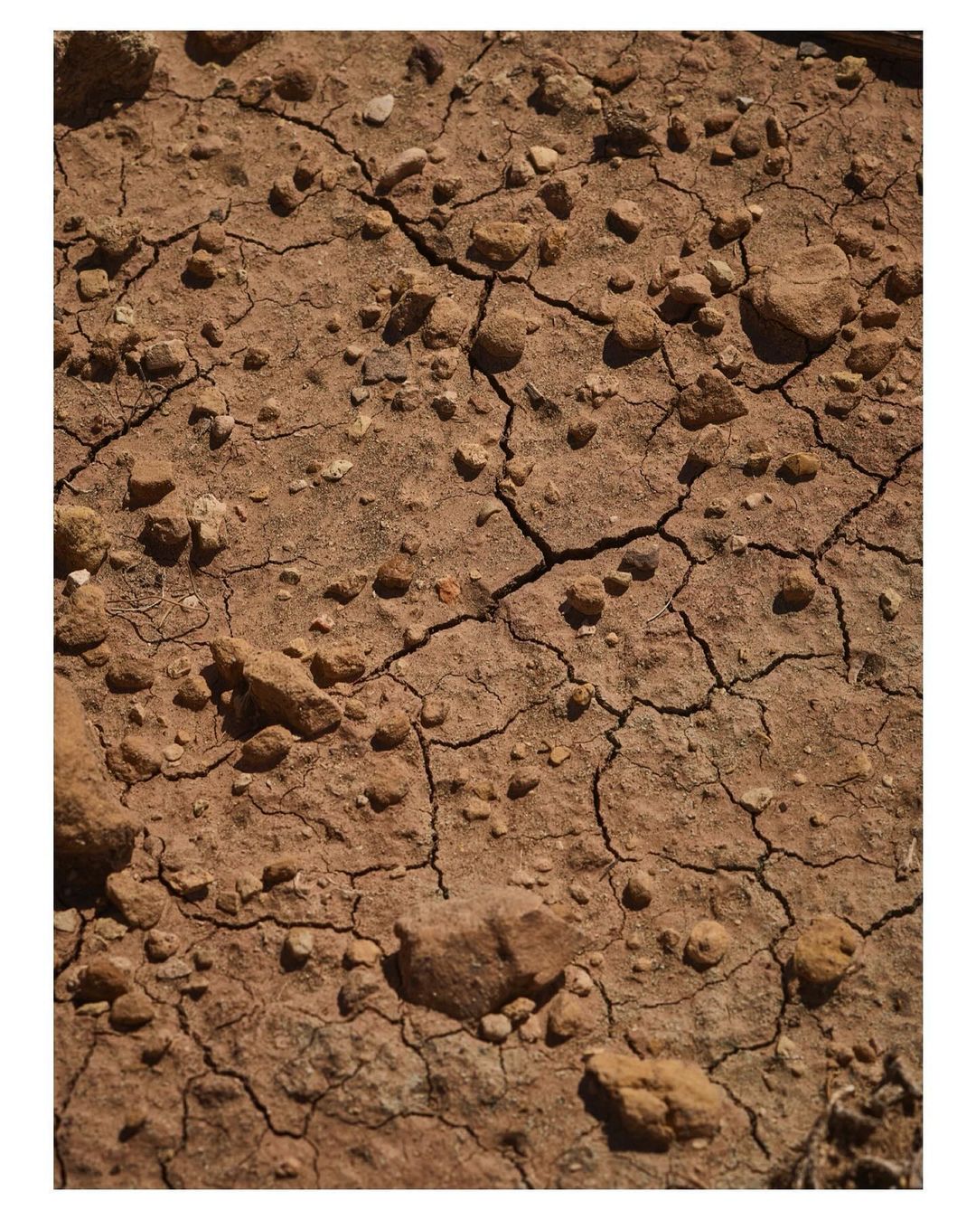 Dry, cracked soil surface with scattered small rocks and pebbles, creating a textured and arid landscape, brown earth.