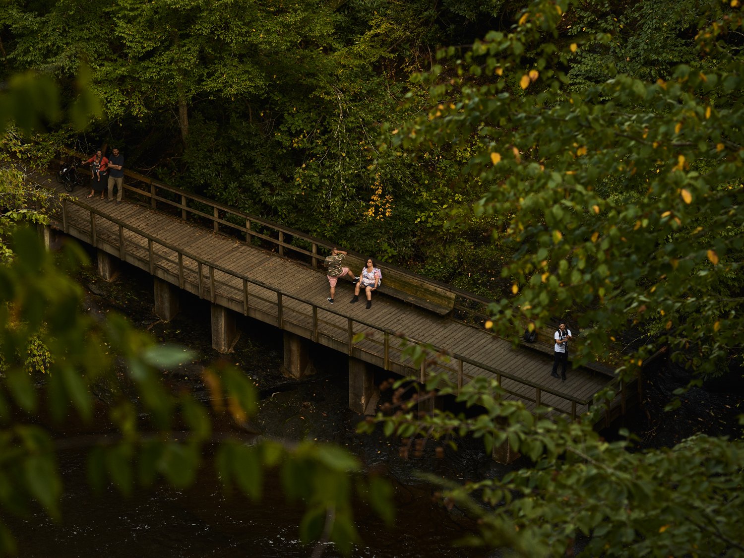 High-angle view of two people sitting on a bench along a wooden bridge in a lush green forest with dappled sunlight and dark water below.