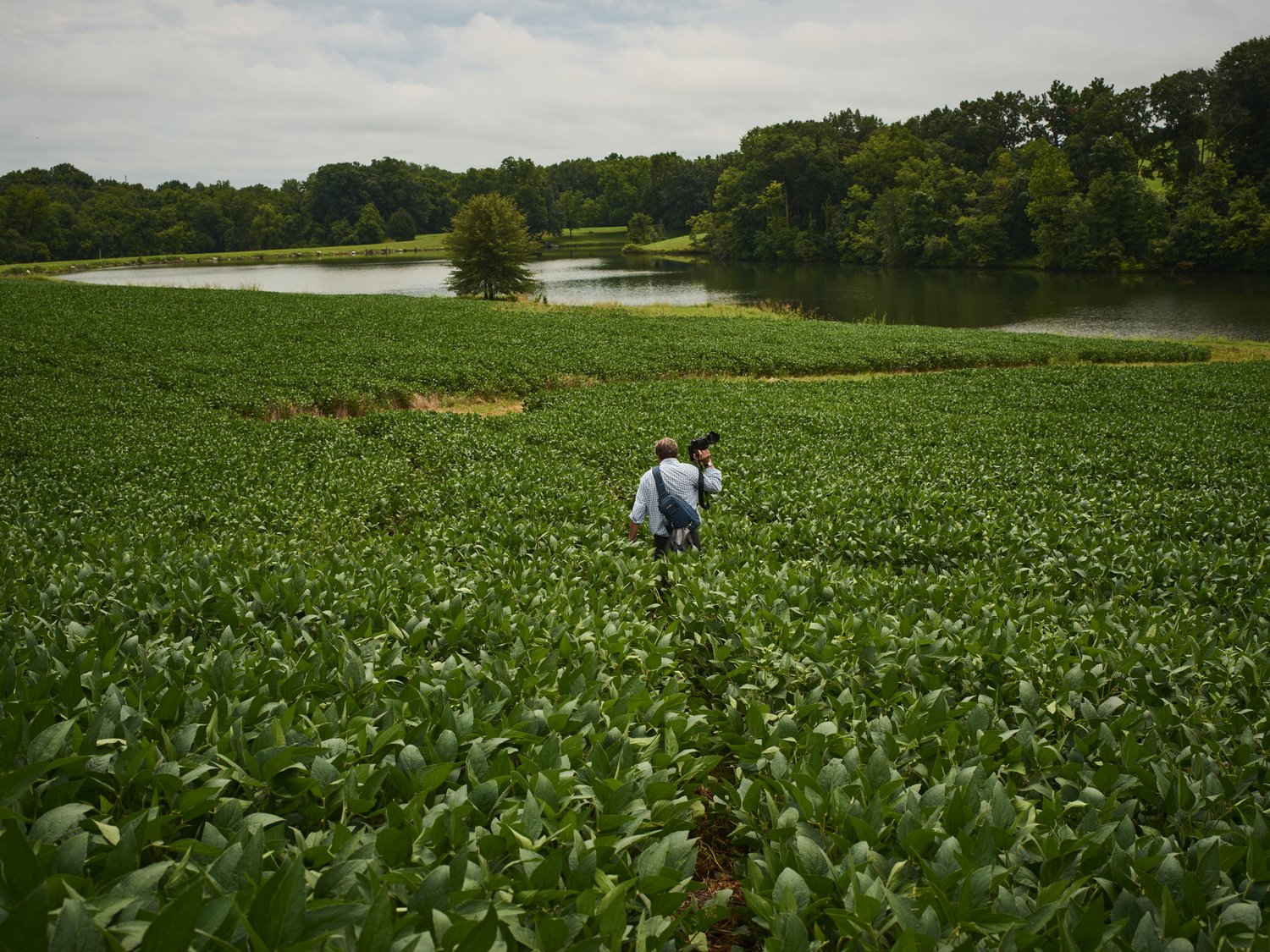 Photographer captures rural landscape featuring a lush green field, tranquil pond, and verdant forest under an overcast sky.