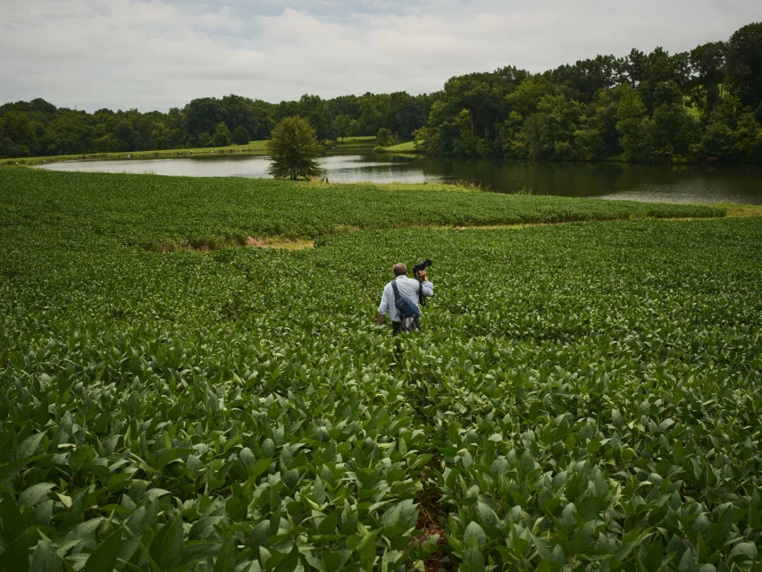 Photographer captures rural landscape featuring a lush green field, tranquil pond, and verdant forest under an overcast sky.