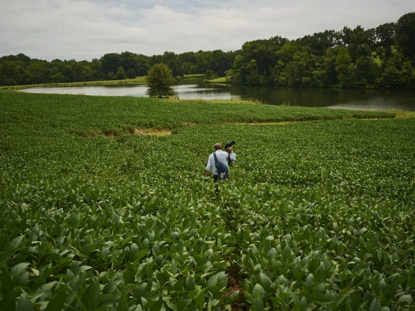 Photographer captures rural landscape featuring a lush green field, tranquil pond, and verdant forest under an overcast sky.