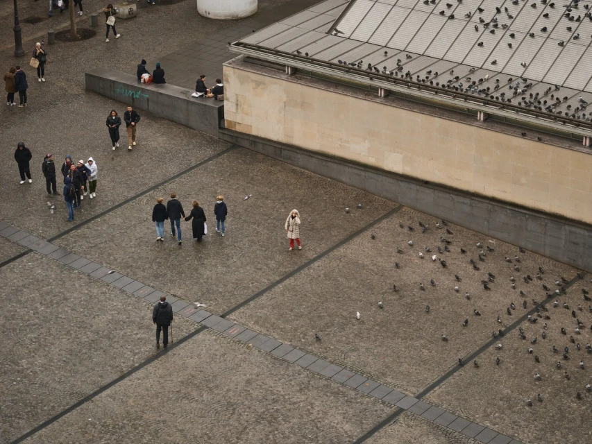 Overhead shot of people walking across a cobblestone square alongside pigeons near a building with a glass rooftop, overcast day.