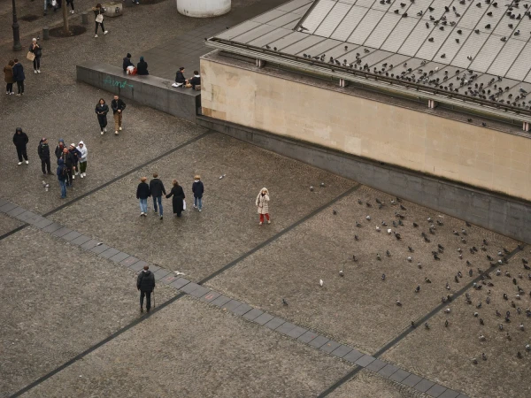 Overhead shot of people walking across a cobblestone square alongside pigeons near a building with a glass rooftop, overcast day.