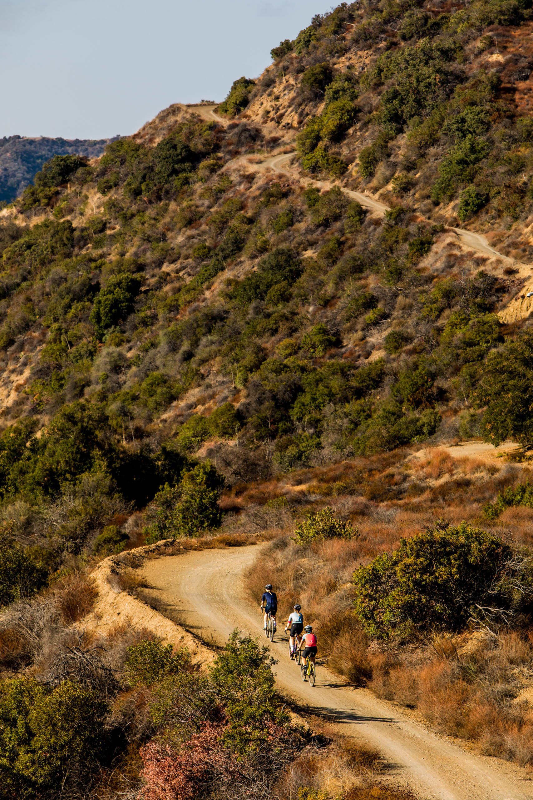 Group of cyclists riding bikes on a dirt path winding through a grassy, shrub-covered hillside on a sunny day; landscape orientation.