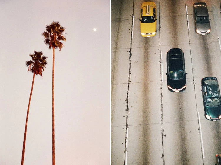 Split-view of two palm trees against a white sky, and a highway filled with cars, creating a contrast between nature and urban scenes.