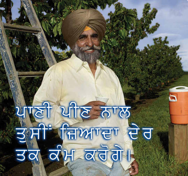 Man wearing a brown turban and cream shirt holding a cup while standing near a wooden ladder in an orchard