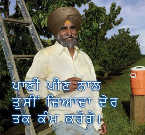 Man wearing a brown turban and cream shirt holding a cup while standing near a wooden ladder in an orchard
