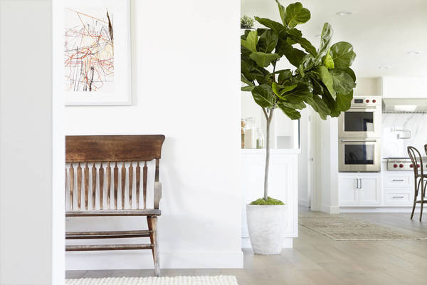 Interior view of a home foyer with a brown wooden bench, potted fiddle-leaf fig tree, abstract art and view into a white kitchen.