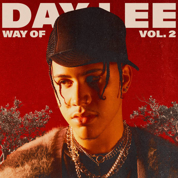 Portrait of young man wearing a black mesh baseball cap and layered chains against a warm red textured background with tree silhouettes