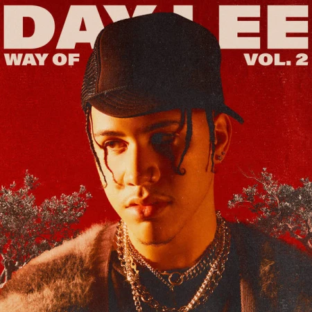 Portrait of young man wearing a black mesh baseball cap and layered chains against a warm red textured background with tree silhouettes