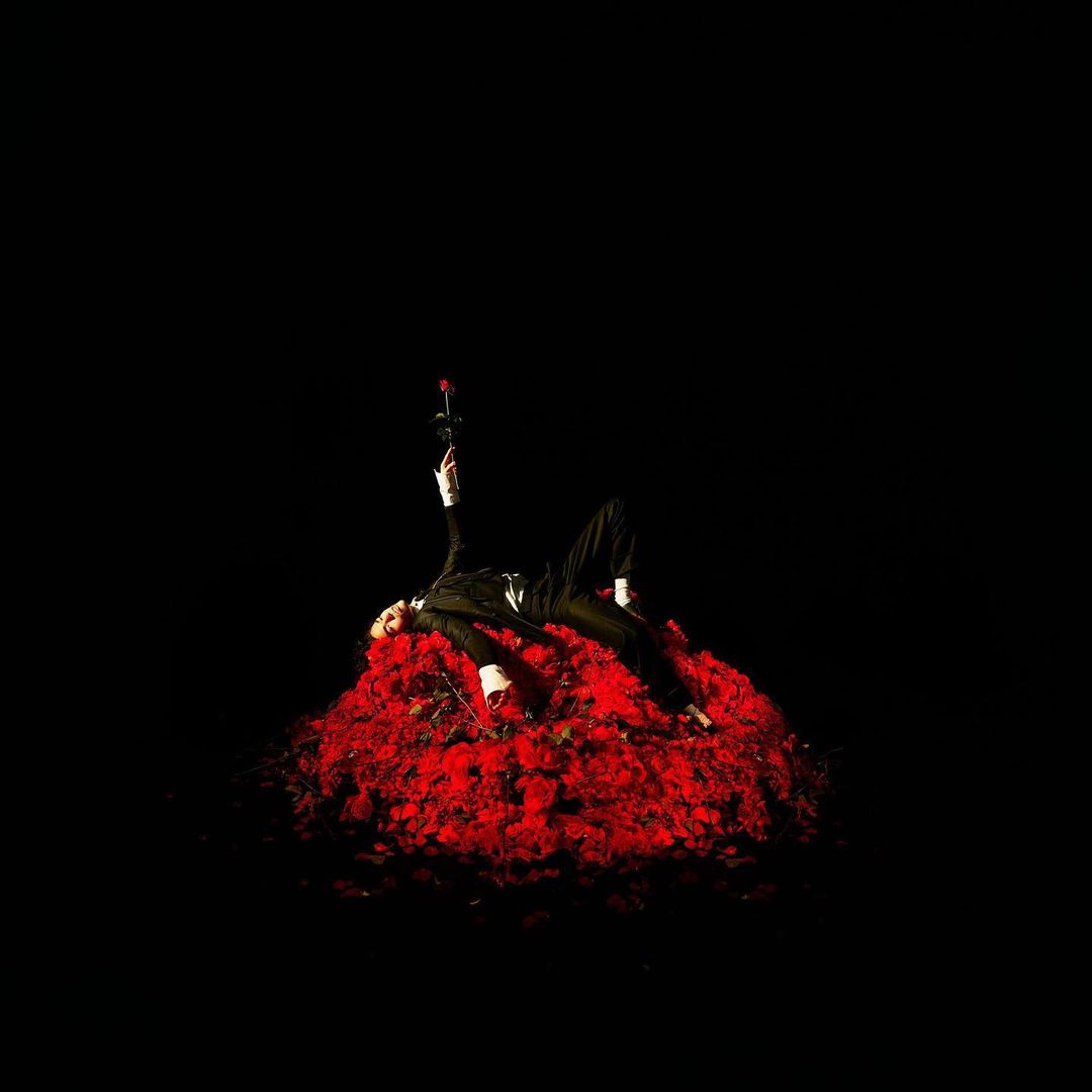 A man in a suit lies on a pile of red flowers holding a rose, set against a stark black backdrop, creating a dramatic and artistic image.