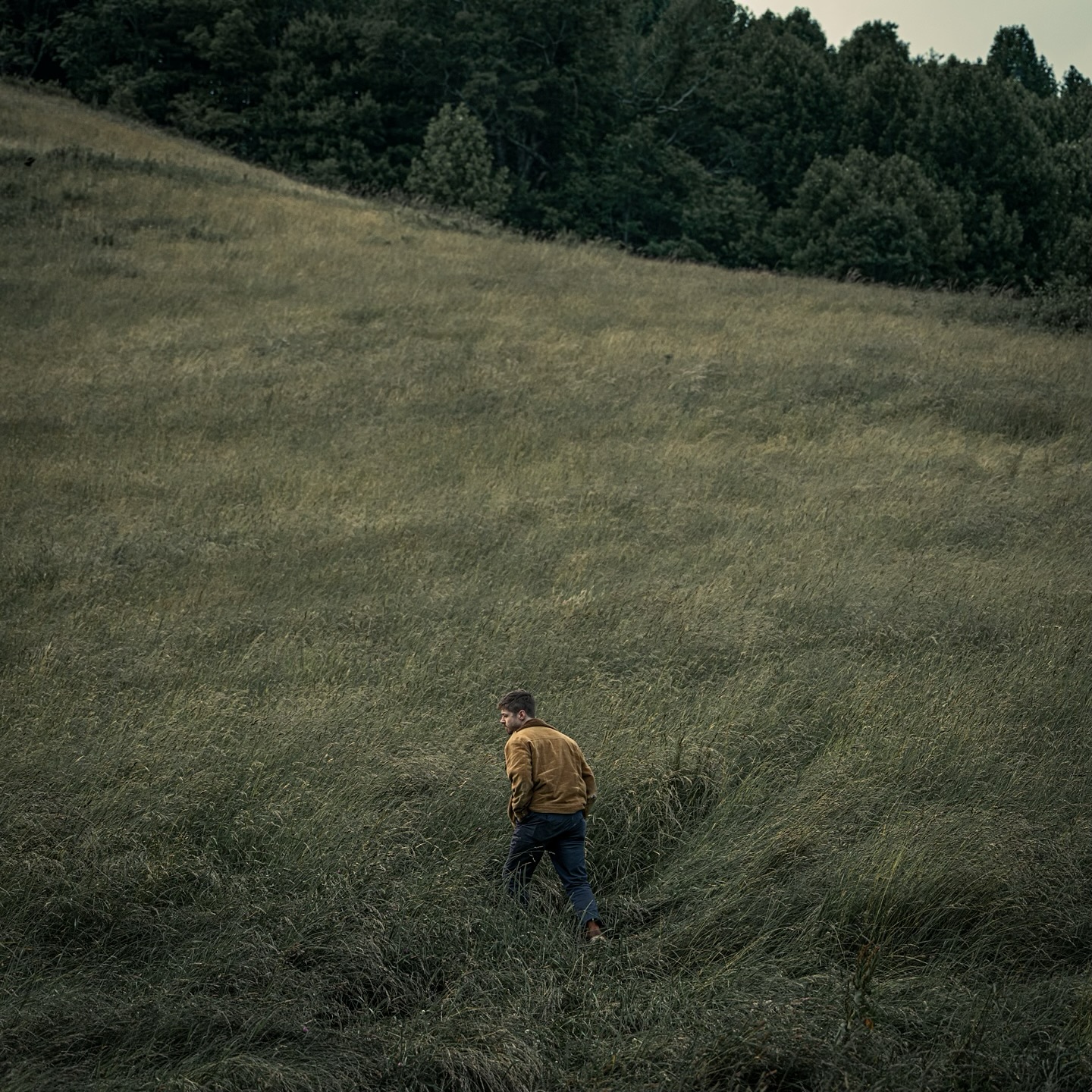 Adult male walking through a field of tall green grass with a forest and grassy hill in the background on an overcast day.