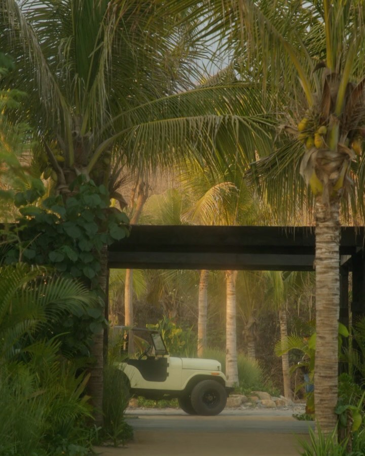 Light yellow Jeep parked under a dark wood awning flanked by green palm trees and dense tropical foliage in bright outdoor daylight.