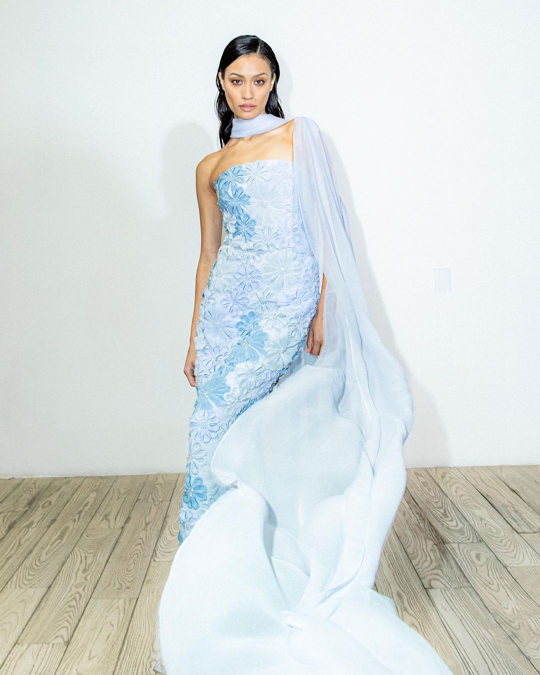 Elegant woman poses in a light blue floral gown with sheer fabric, creating a dreamy, fashion-forward studio portrait.