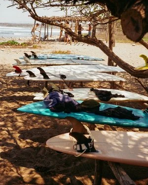 Surfboards lined up on a sandy beach near the ocean under a tree, with people in the background, capturing a sunny, outdoor beach scene.