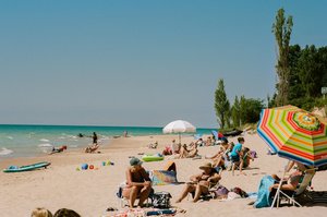 People enjoy a sunny day at the beach with umbrellas, clear water, and trees. Summer scene with relaxation and outdoor activities.