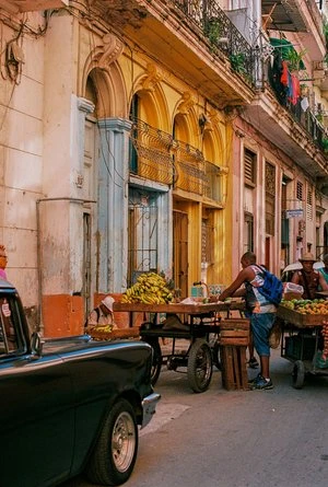 Street scene in Havana, Cuba featuring fruit vendors with carts, colorful buildings, and a vintage car under bright daylight.