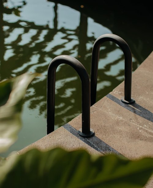Close-up of dark metal ladder emerging from water, reflecting sunlight, next to concrete edge, large green leaf in foreground.