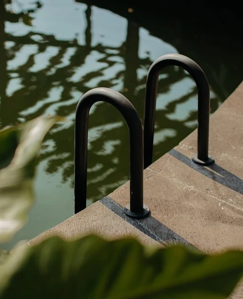 Close-up of dark metal ladder emerging from water, reflecting sunlight, next to concrete edge, large green leaf in foreground.