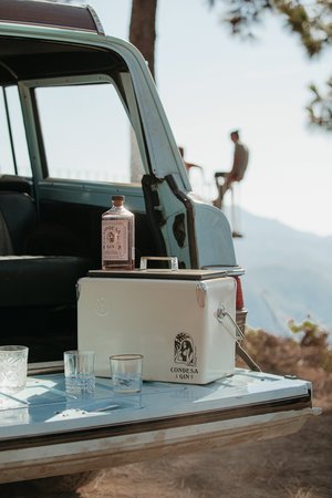 Outdoor beverage setup with gin bottle, glasses, and cooler on a vintage car trunk, showcasing a casual, scenic picnic in natural light.