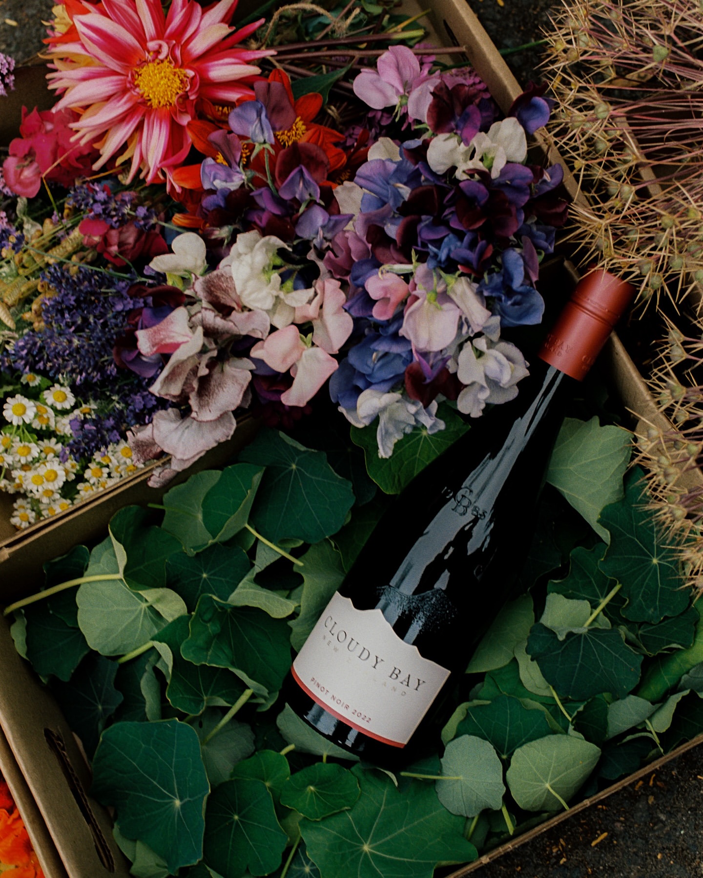 Wine bottle and fresh flowers arrangement in a cardboard box. Mix of blooms and foliage, including dahlias, sweet peas, leaves.