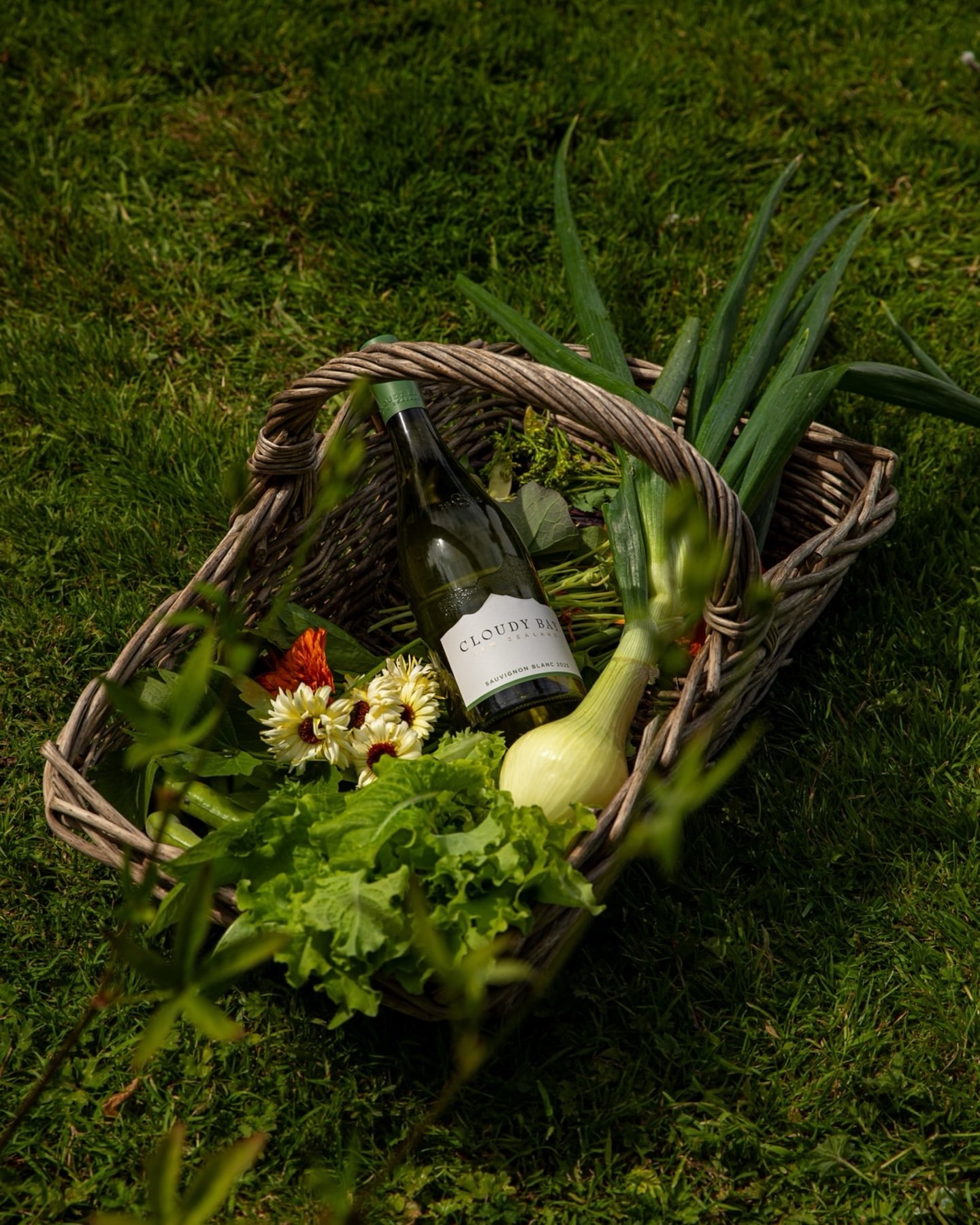 Wicker basket filled with a wine bottle, flowers, leeks, onions and lettuce on a lush green lawn, bathed in natural light.