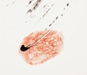 Abstract art featuring an organic shape in coral hues with a textured surface and black ink splashes on a white background.