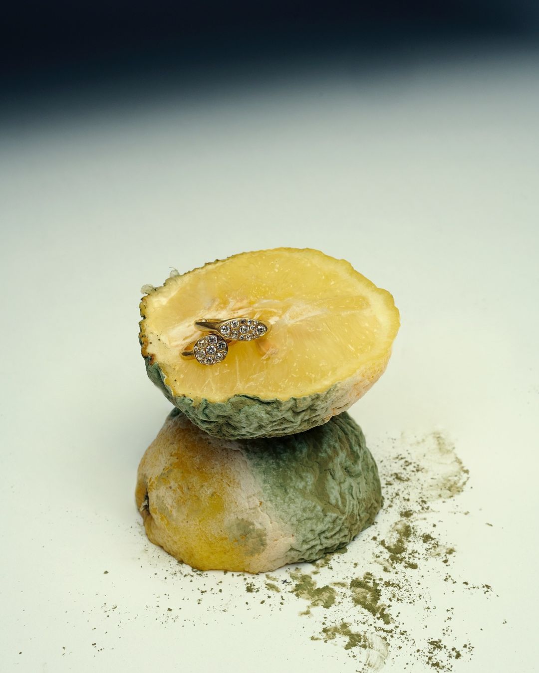 Close-up studio shot of two wedding rings nestled inside of a halved and decaying lemon, creating a contrast between beauty and decay.