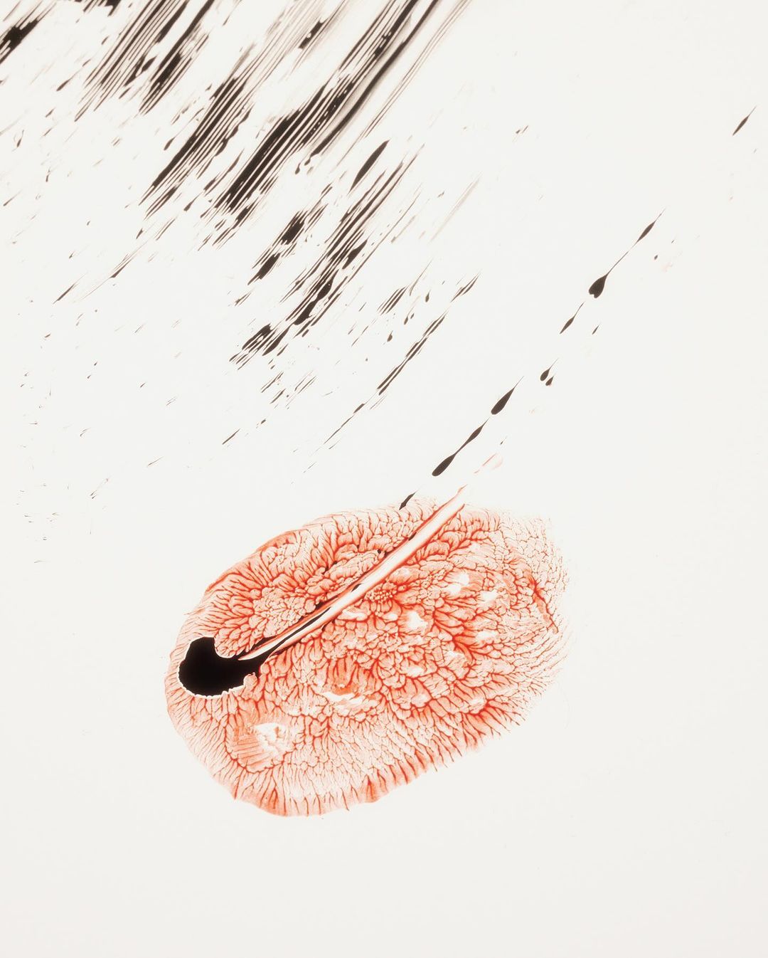 Abstract art with red and black ink blotches on white, evoking a sense of depth and movement with graphic elements.