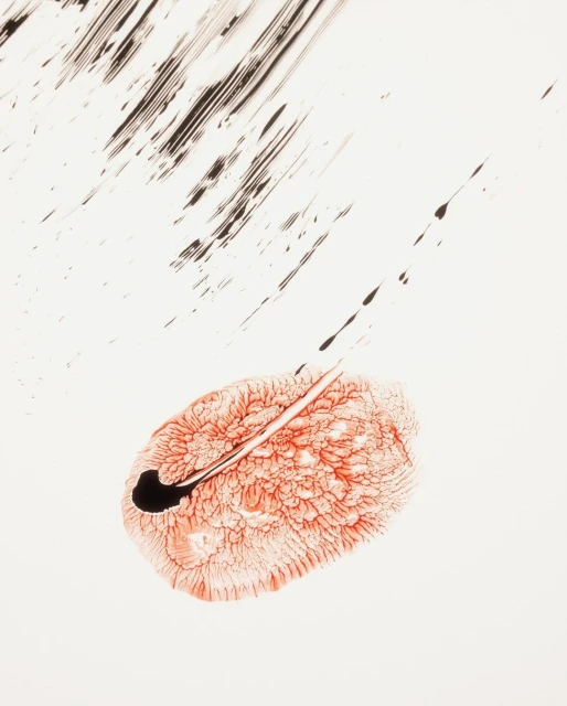 Abstract art with red and black ink blotches on white, evoking a sense of depth and movement with graphic elements.