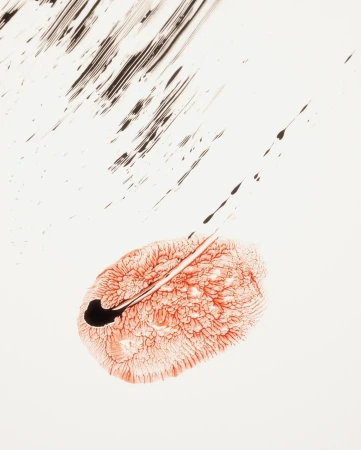 Abstract art with red and black ink blotches on white, evoking a sense of depth and movement with graphic elements.