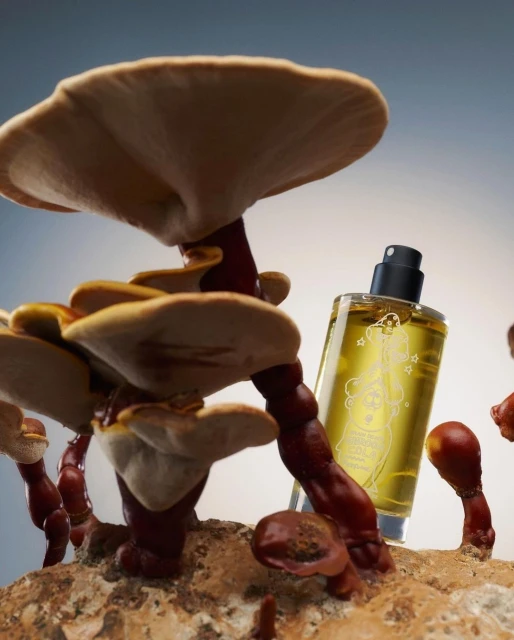 Close-up product shot of a bottle of perfume next to mushroom clusters with large caps in a studio setting, against a gradient background.
