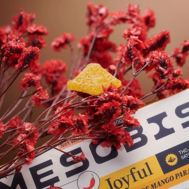 Close-up of a triangular mango gummy candy on red dried flowers, placed on a product box with visible text.