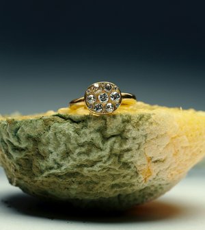 Macro shot of a gold ring with diamond accents set atop a textured, yellow and green organic surface, showcasing fine jewelry.