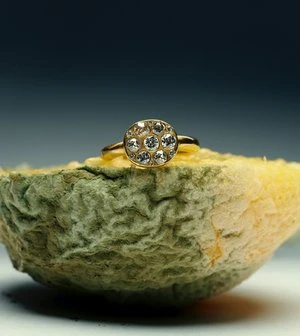 Macro shot of a gold ring with diamond accents set atop a textured, yellow and green organic surface, showcasing fine jewelry.
