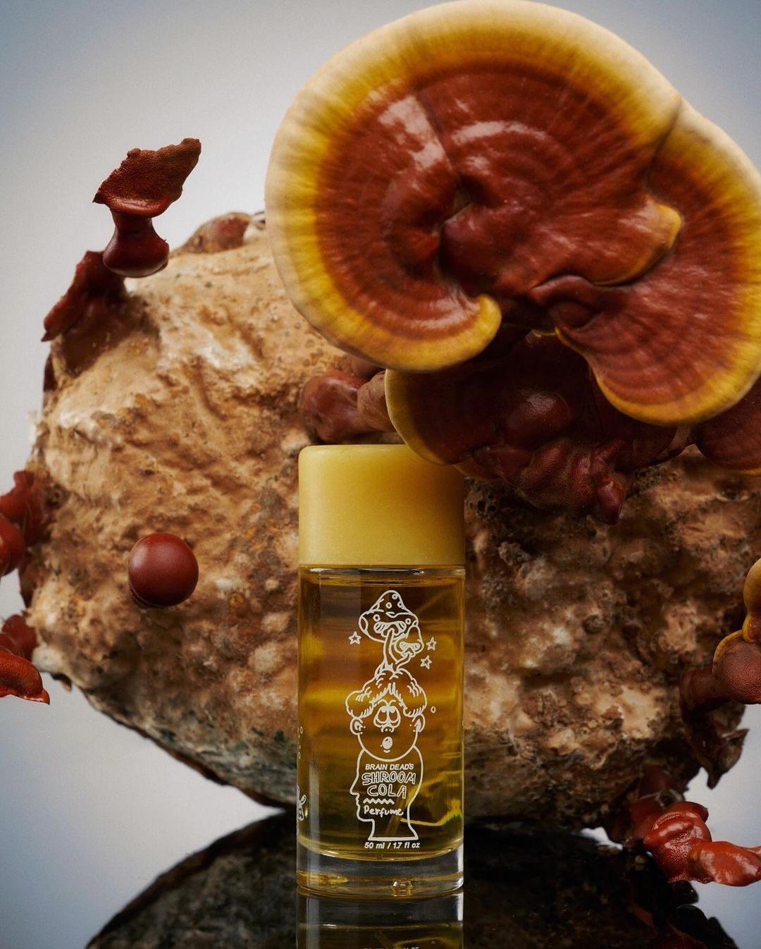 Still life shot of a bottle of perfume surrounded by different types of mushrooms in a studio setting, featuring brown and yellow tones.