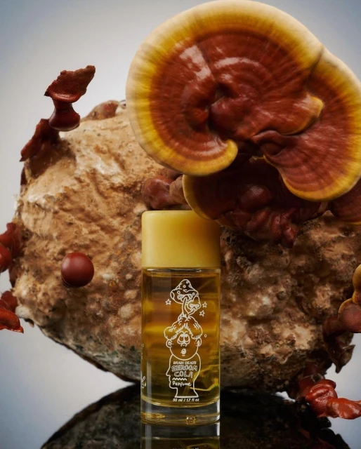 Still life shot of a bottle of perfume surrounded by different types of mushrooms in a studio setting, featuring brown and yellow tones.